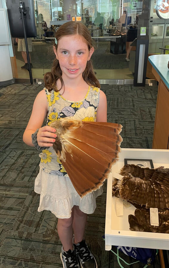 NC Museum of Natural Sciences NC Museum of Natural Sciences